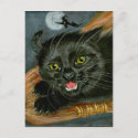 Black Cat on Broom Halloween Postcard