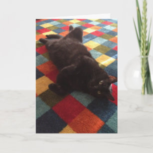 Black Cat on Rug Birthday Card