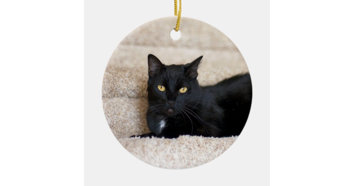 Black Cat ornament | Zazzle