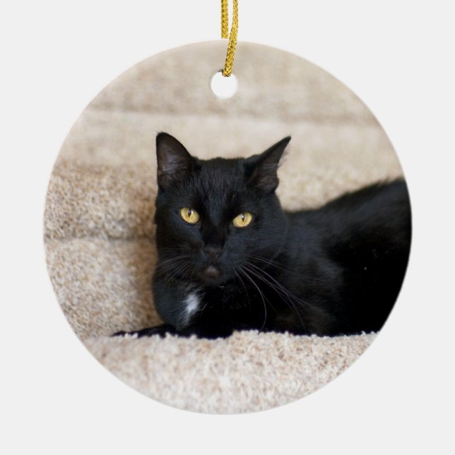 Black Cat ornament (Front)