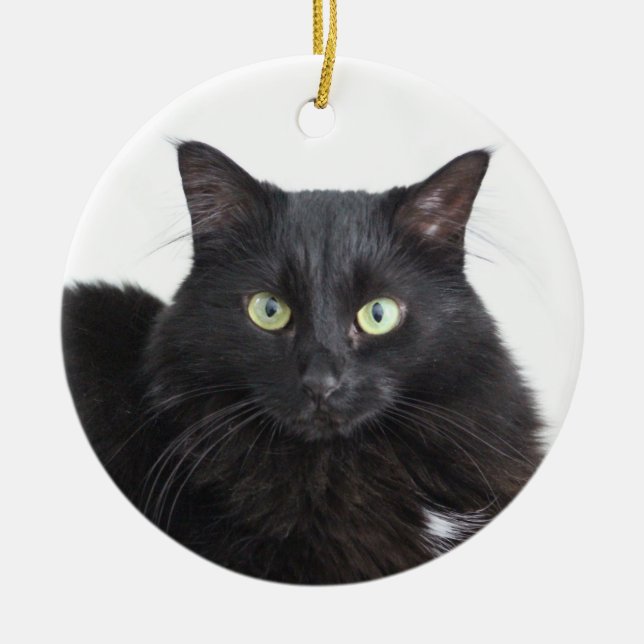 Black Cat ornament (Front)