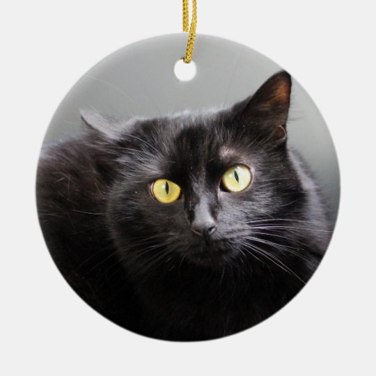 Black Cat Ornament | Zazzle.com