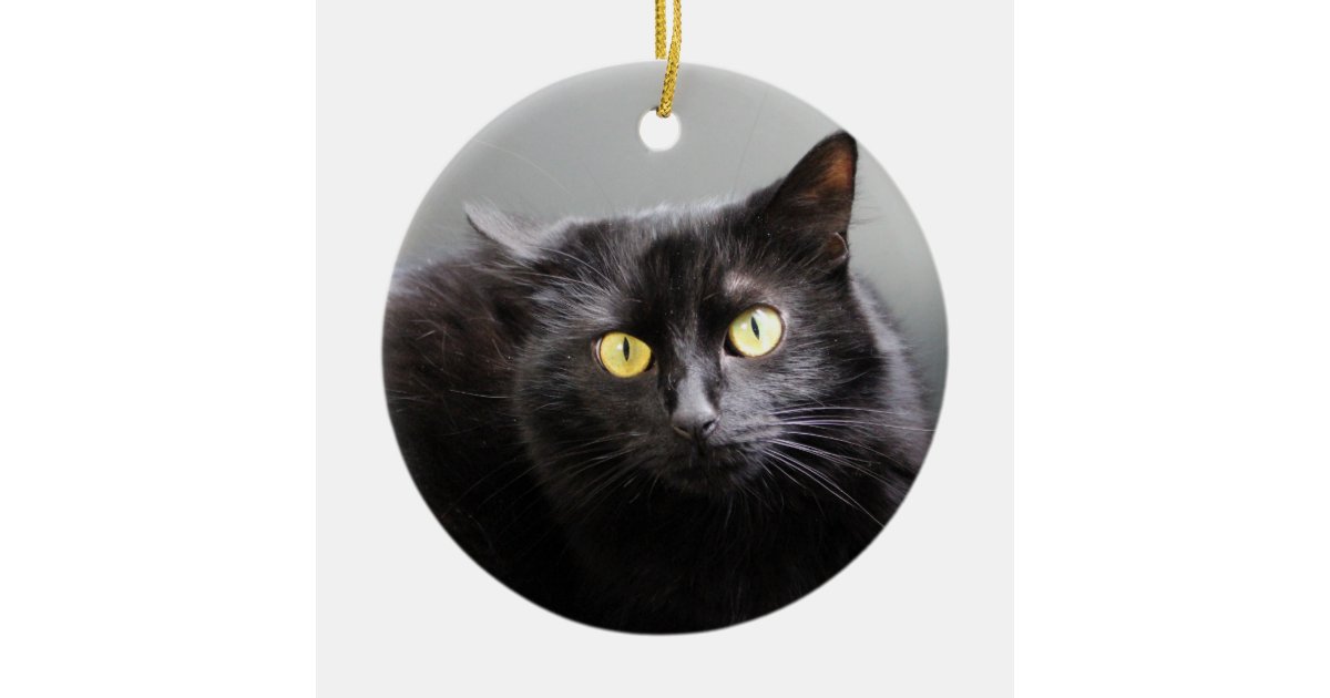 Black Cat Ornament | Zazzle