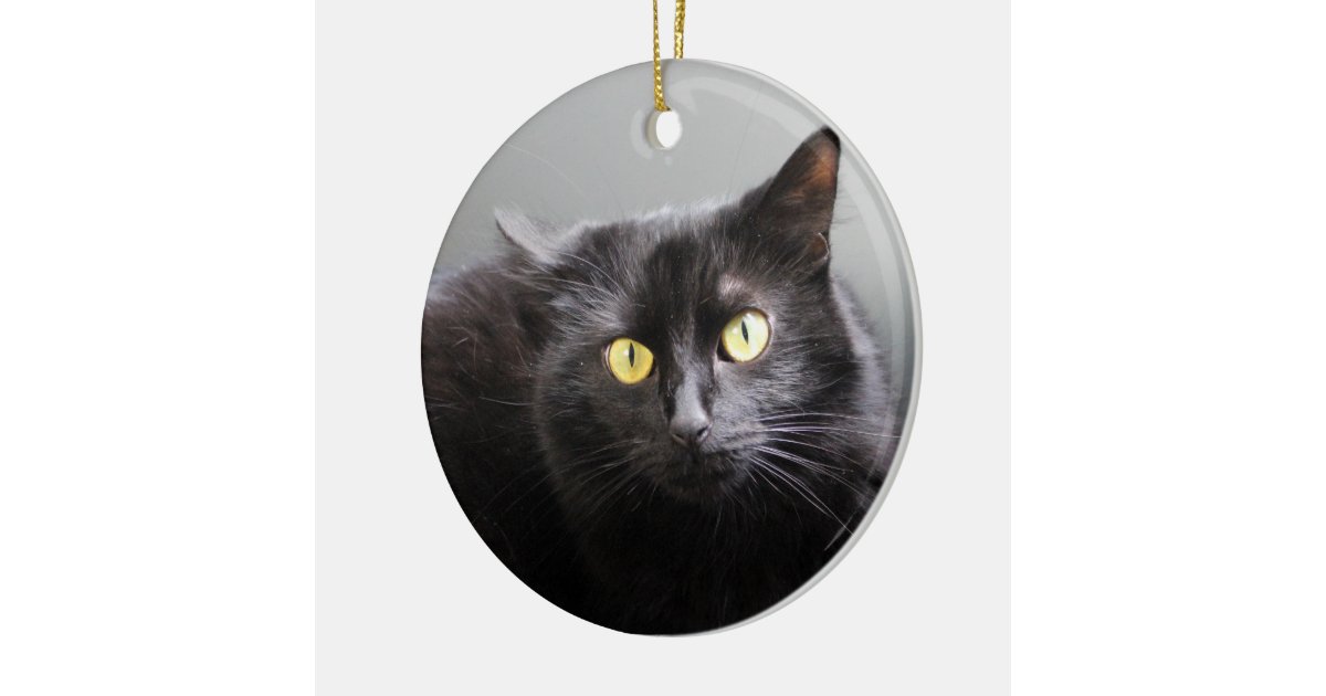 Black Cat Ornament | Zazzle