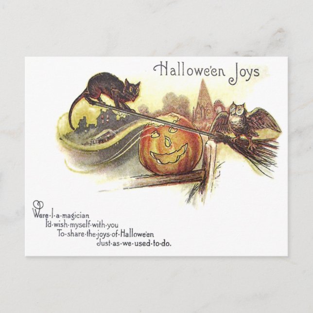 Black Cat Owl Jack O' Lantern Witch's Broom Postcard (Front)