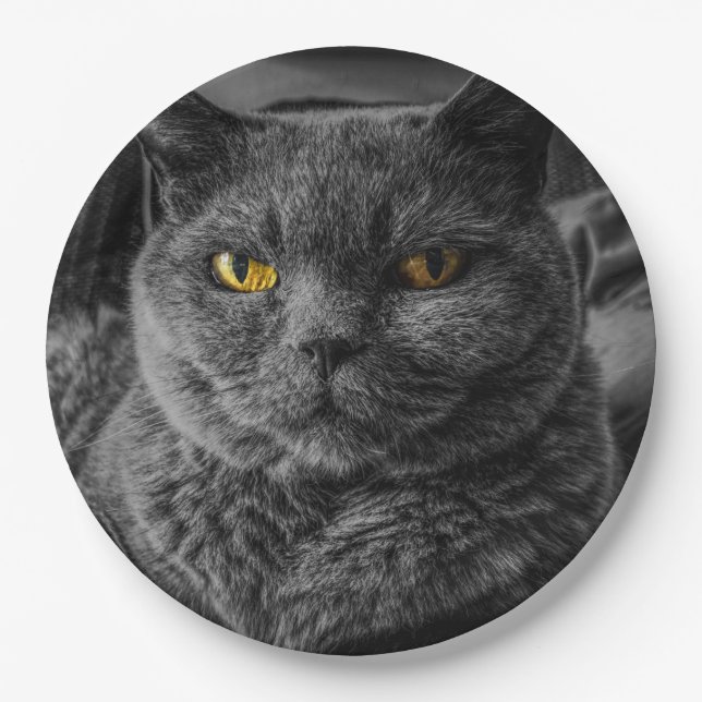 Black Cat Paper Plates (Front)
