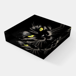 Black Cat Paperweight