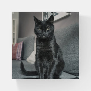 Black Cat Paperweight