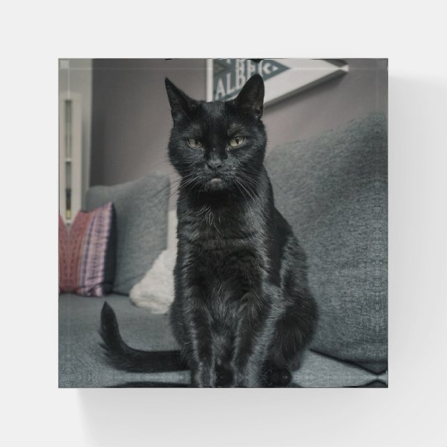 Black Cat Paperweight (Front)