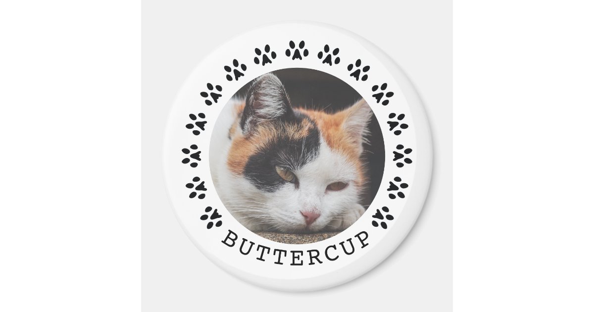 Black Cat Paw Prints Frame Pet Photo Magnet Zazzle Com