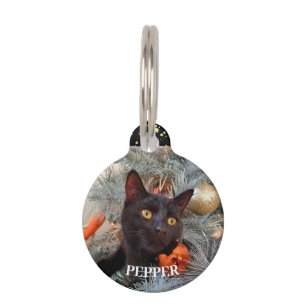 Black Cat, Pet ID Tag