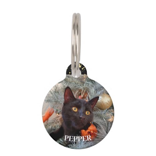 Black Cat  Pet ID Tag