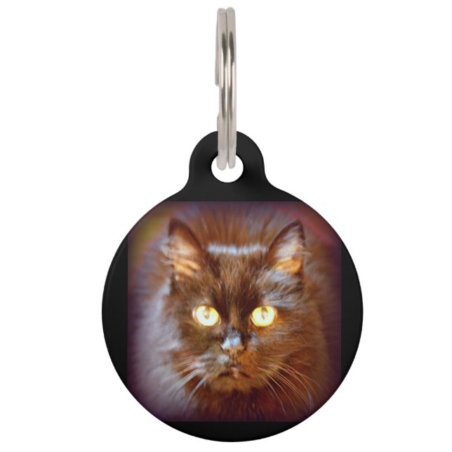 black cat pet name tag (Front)
