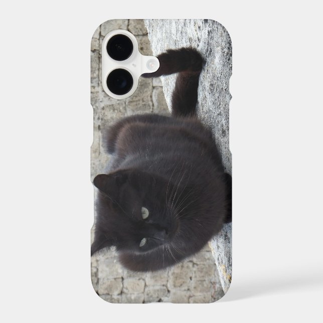 Black Cat phone cases (Back)