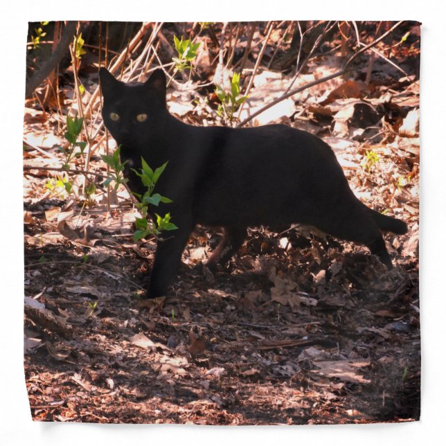 Black Cat Photo Bandana (Front)