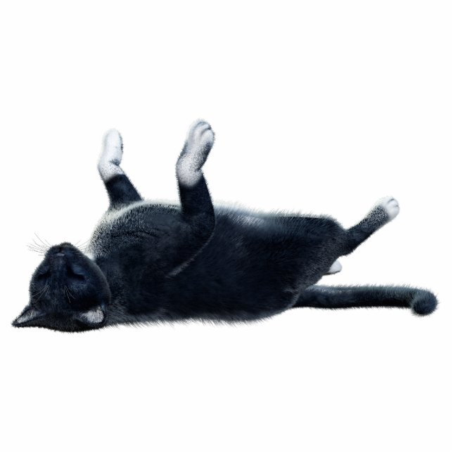 Black Cat Photo Sculpture (Front)