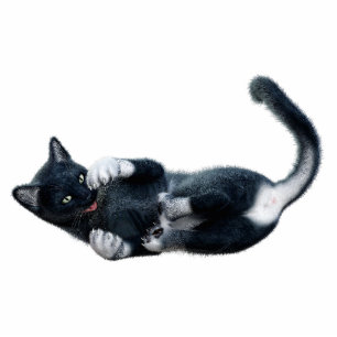 Black Cat Photo Sculpture