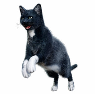 Black Cat Photo Sculpture