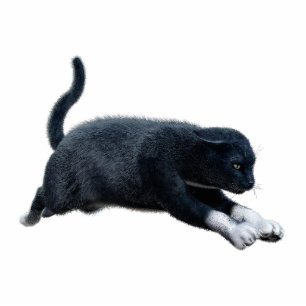 Black Cat Photo Sculpture
