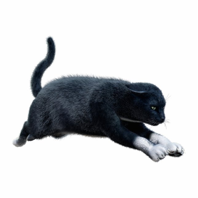 Black Cat Photo Sculpture (Front)