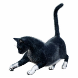 Black Cat Photo Sculpture
