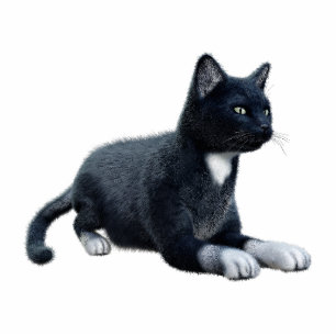 Black Cat Photo Sculpture