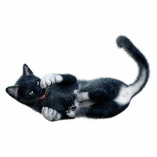 Black Cat Photo Sculpture