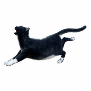 Black Cat Photo Sculpture