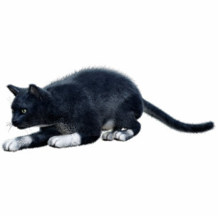 Black Cat Photo Sculpture