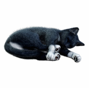 Black Cat Photo Sculpture