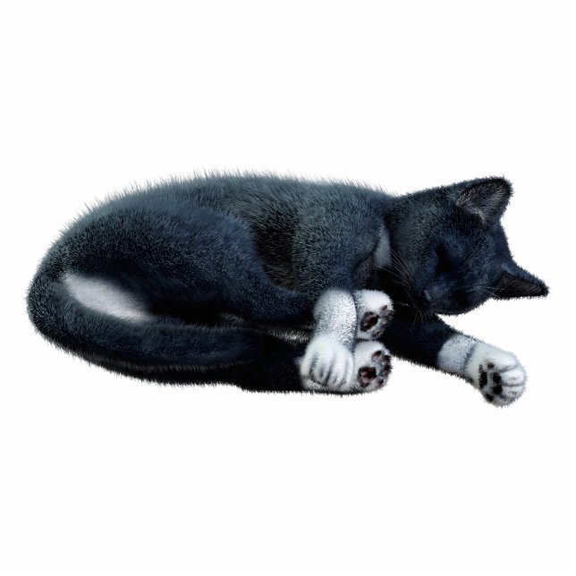 Black Cat Photo Sculpture (Front)