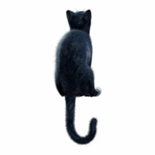 Black Cat Photo Sculpture