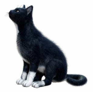 Black Cat Photo Sculpture