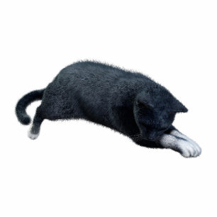 Black Cat Photo Sculpture