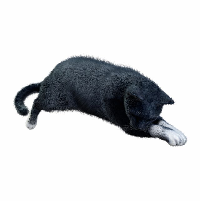 Black Cat Photo Sculpture (Front)