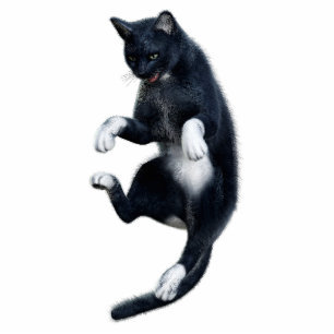 Black Cat Photo Sculpture