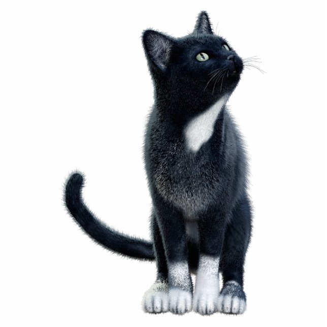 Black Cat Photo Sculpture (Front)
