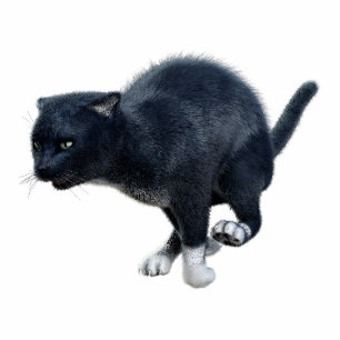 Black Cat Photo Sculpture