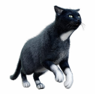 Black Cat Photo Sculpture