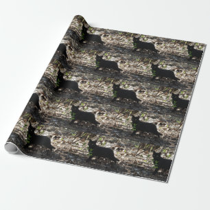 Black Cat Photo Wrapping Paper