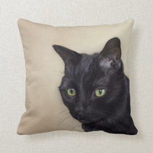 black cat pillow pet