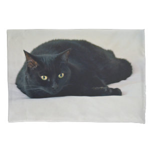 Black Cat Pillow Case