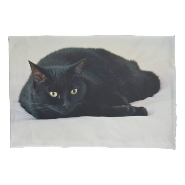 Black Cat Pillow Case (Front)