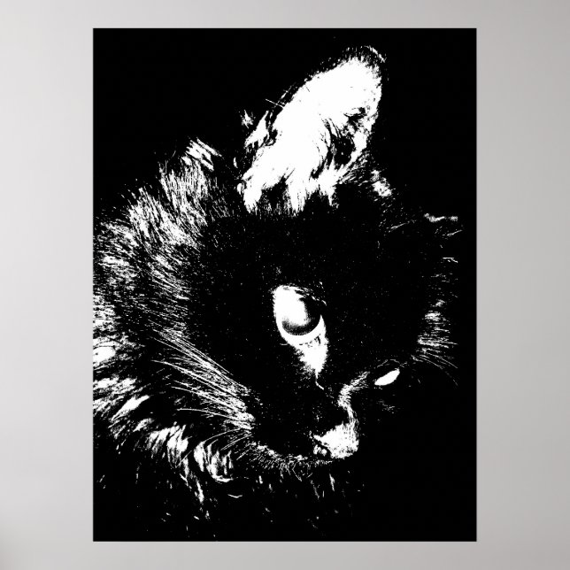Black Cat Pop Art Poster Print - Cat Posters (Front)