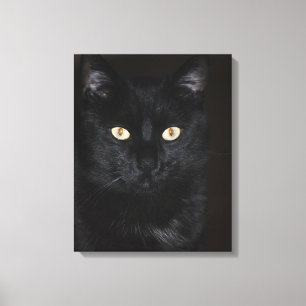 Black Cat Portrait Canvas Print