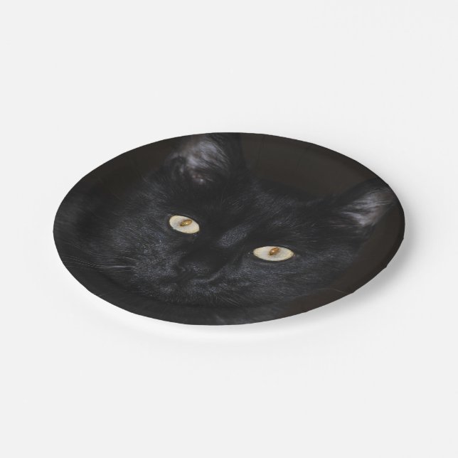 Black Cat Portrait Paper Plates (Angled)