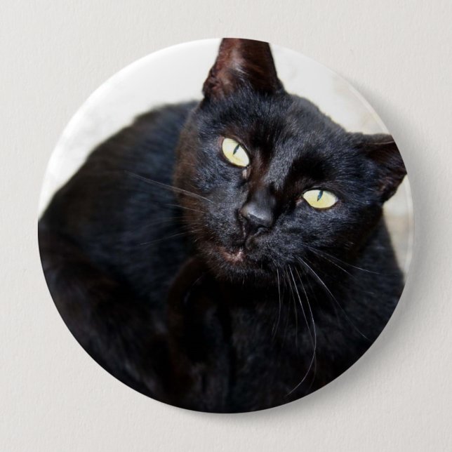Black Cat Portrait Pinback Button (Front)