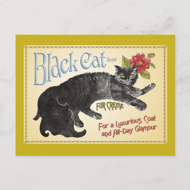Black Cat Postcard (Front)