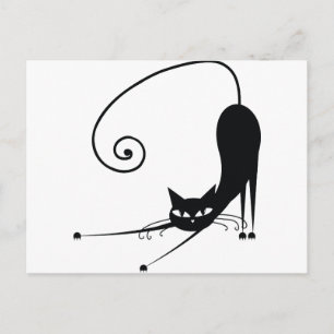 Black Cat Postcard