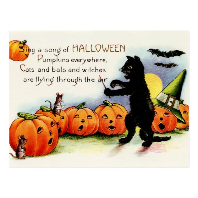 Black Cat Postcard, Singing Pumpkins, Halloween Postcard